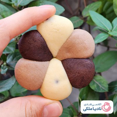 مواد مورد نیاز برای بیسکوئیت های بای