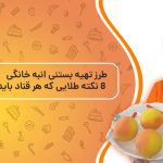 راز تهیه بستنی انبه خانگی؛ ۸ نکته طلایی برای طعم حرفه‌ای